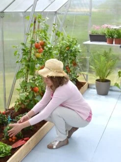 Canopia® By Palram Essence™ Greenhouse, 8' X 12' -Garden Supplies Shop 8591356 04V tif