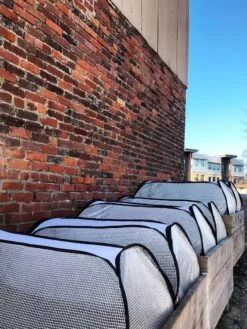 Row Shelter Accelerator 11 Row Shelter Accelerator -Garden Supplies Shop 8591990 01IN tif