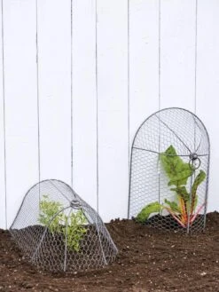 3-in-1 Chicken Wire Cloche -Garden Supplies Shop 8592117 0188 tif