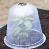 Large Garden Cloches, Set Of 3 -Garden Supplies Shop 8593984 345 tif
