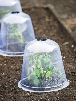 Large Garden Cloches, Set Of 3 -Garden Supplies Shop 8593984 9432 tif