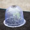 Medium Garden Cloches, Set Of 6 -Garden Supplies Shop 8593985 347 tif