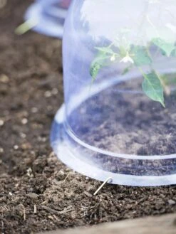 Medium Garden Cloches, Set Of 6 -Garden Supplies Shop 8593985 9441 tif