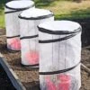 Tomato TLC Kits, Set Of 3 -Garden Supplies Shop 8594214 0183 tif