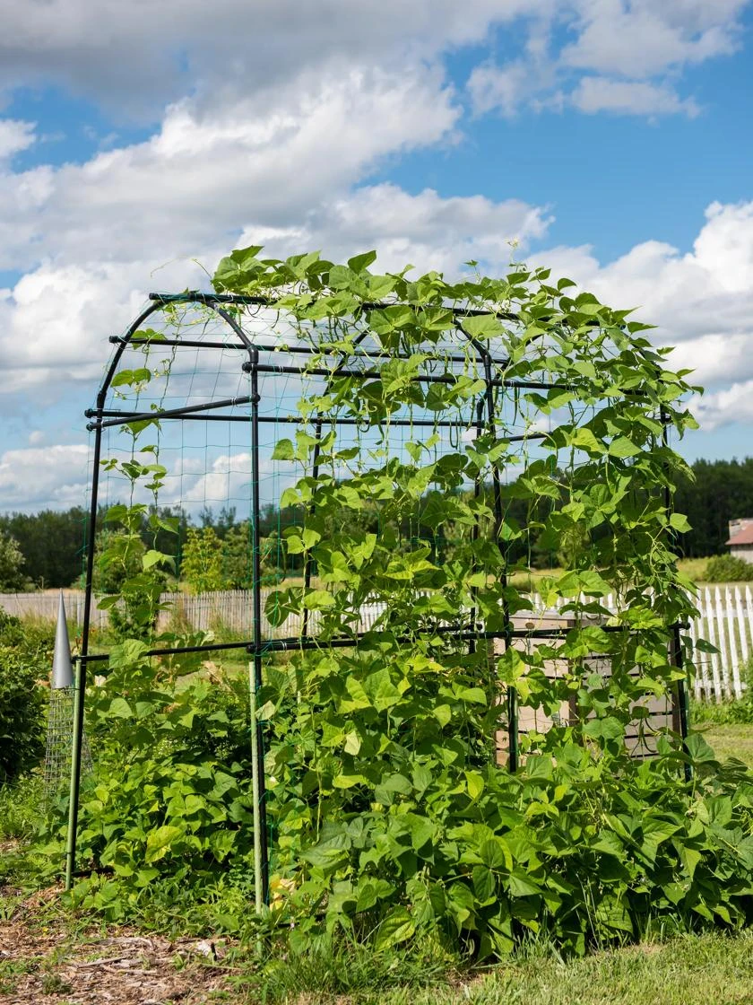 Titan Squash Tunnel 7 Titan Squash Tunnel - Image 5