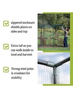 Crop Cage, 4' X 12' -Garden Supplies Shop 8596540 4
