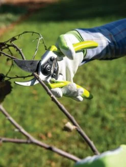 Gardener's Pro Pruner #2 -Garden Supplies Shop 8596605 032 tif