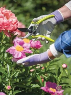 Gardener's Pro Pruner #2 -Garden Supplies Shop 8596605 1261 tif