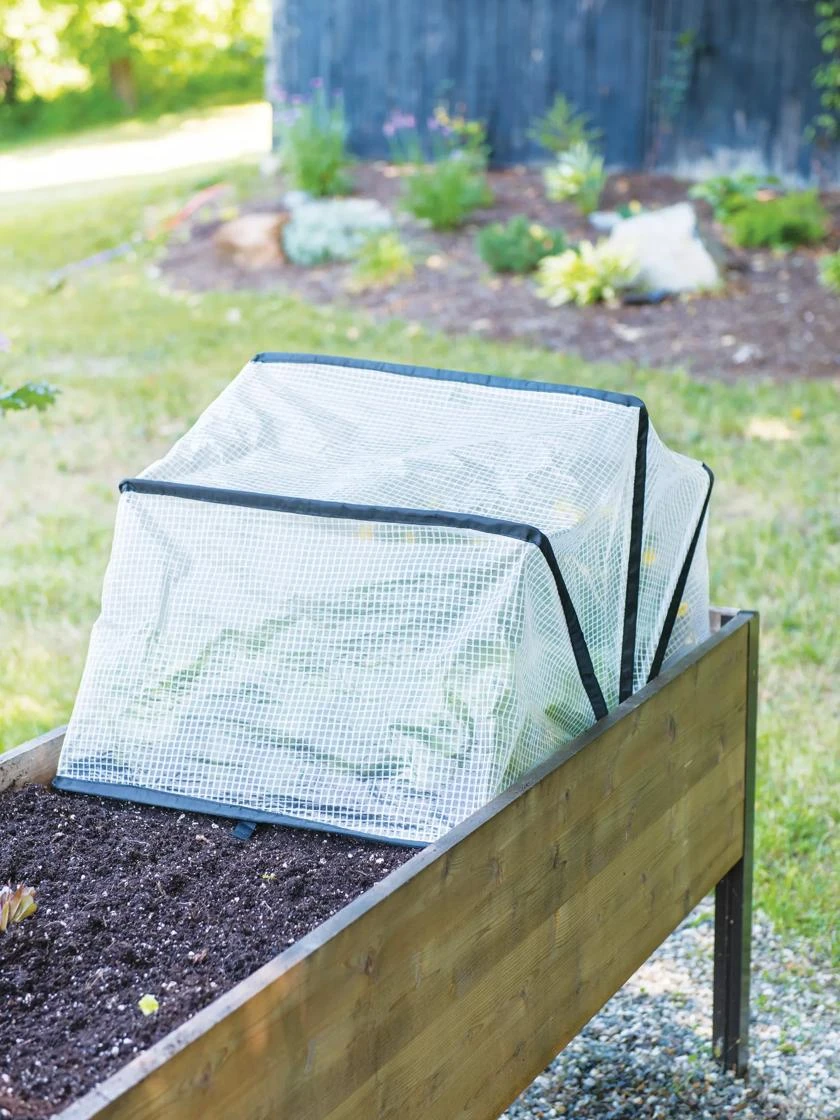 Pop-Up Crop Protector 3 Pop-Up Crop Protector