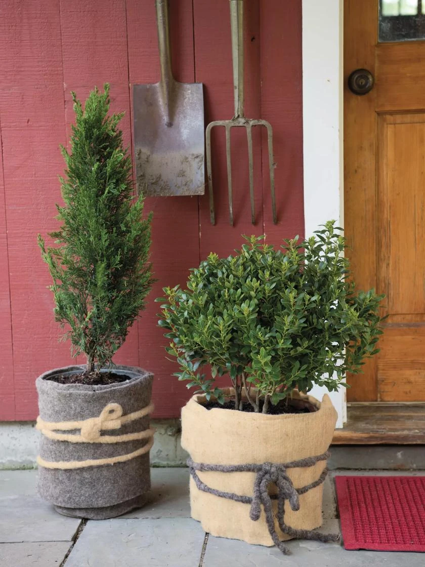 GardenWool® Plant Blanket 3 GardenWool® Plant Blanket