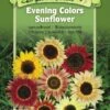 Evening Colors Sunflower Organic Seeds 2 Evening Colors Sunflower Organic Seeds -Garden Supplies Shop 8598225 01V tif
