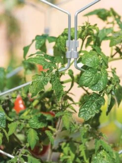 Gardener's Vertex Lifetime Tomato Cage -Garden Supplies Shop 8598426 0011 tif