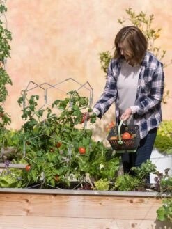 Gardener's Vertex Lifetime Tomato Cage -Garden Supplies Shop 8598426 0026 tif