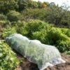 Insect Protection Tunnel -Garden Supplies Shop 8598536 8225 tif