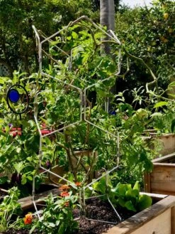 Gardener's Vertex Lifetime Pepper And Eggplant Cage -Garden Supplies Shop 8599554 01CUST tif