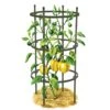 Titan Pepper Eggplant Cages, Set Of 3 -Garden Supplies Shop 8599859 0001 art tif