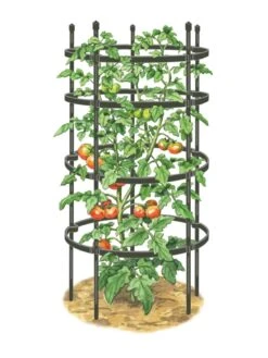 Titan Tomato Cages, Set Of 3 13 Titan Tomato Cages, Set Of 3 -Garden Supplies Shop 8599861 0001 art tif