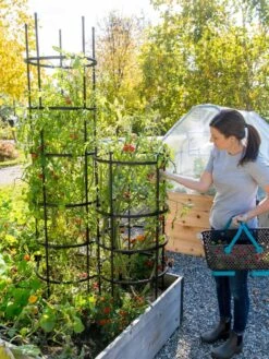 Titan Tomato Cages, Set Of 3 11 Titan Tomato Cages, Set Of 3 -Garden Supplies Shop 8599861 0114 tif