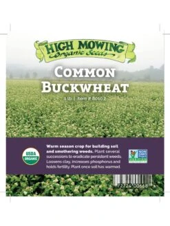 Common Buckwheat Organic Seeds -Garden Supplies Shop 8599871 04v