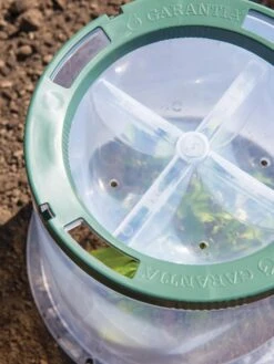 Sunny Forcing Cloches, Set Of 3 -Garden Supplies Shop 8600075 0742 tif