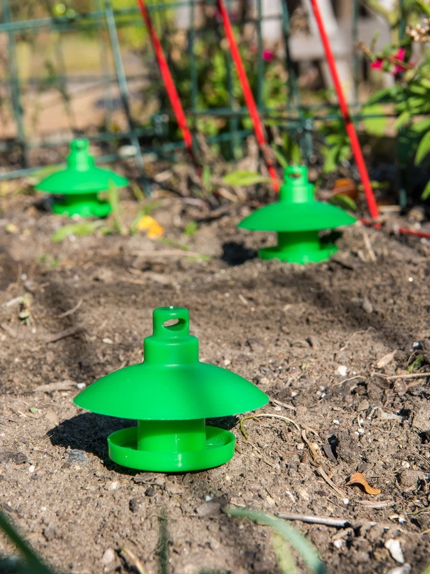 Slug And Snail Traps, Set Of 3 3 Slug And Snail Traps, Set Of 3