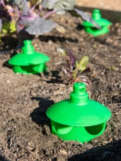 Slug And Snail Traps, Set Of 3 13 Slug And Snail Traps, Set Of 3 -Garden Supplies Shop 8600120 1788