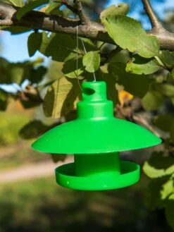 Slug And Snail Traps, Set Of 3 17 Slug And Snail Traps, Set Of 3 -Garden Supplies Shop 8600120 1792