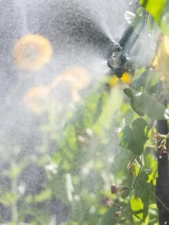 Landscape 4-Way Cooling Mist Kit, 50' -Garden Supplies Shop 8600154 0695 tif