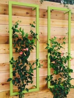 Ina Modern Wall Trellis Sr. -Garden Supplies Shop 8600510 01V tif