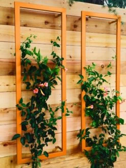 Ina Modern Wall Trellis Sr. -Garden Supplies Shop 8600510 04V tif