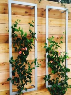 Ina Modern Wall Trellis Sr. -Garden Supplies Shop 8600510 06V tif
