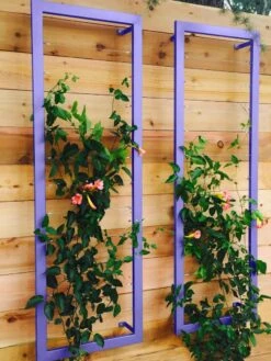 Ina Modern Wall Trellis Sr. -Garden Supplies Shop 8600510 07V tif