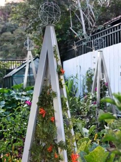 Akoris Garden Tuteur Jr. -Garden Supplies Shop 8600517 07V tif