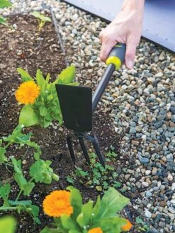 Gardener's 2-in-1 Short Handle Hoe And Cultivator -Garden Supplies Shop 8608657 19474 tif