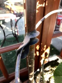 Garden Cane Connects, Set Of 6 -Garden Supplies Shop 8609019 03V tif