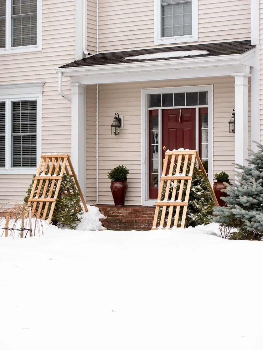 Cedar Shrub Guard 4 Cedar Shrub Guard - Image 2