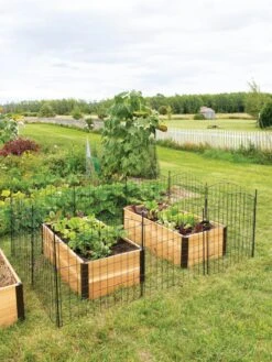 6 Panel Critter Fence With Gate 15 6 Panel Critter Fence With Gate -Garden Supplies Shop 8609844 8457 tif