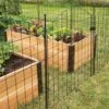 6 Panel Critter Fence With Gate -Garden Supplies Shop 8609844 8458 6 panel critter fence with gate 3 4