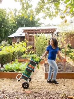 Mod Hod Trolley With Teal Mod Hods -Garden Supplies Shop 8610240 0070 tif