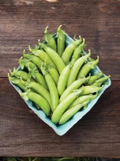 Family Garden Organic Seed Collection, Set Of 7 11 Family Garden Organic Seed Collection, Set Of 7 -Garden Supplies Shop 8610262 cascadia peas 01V tif