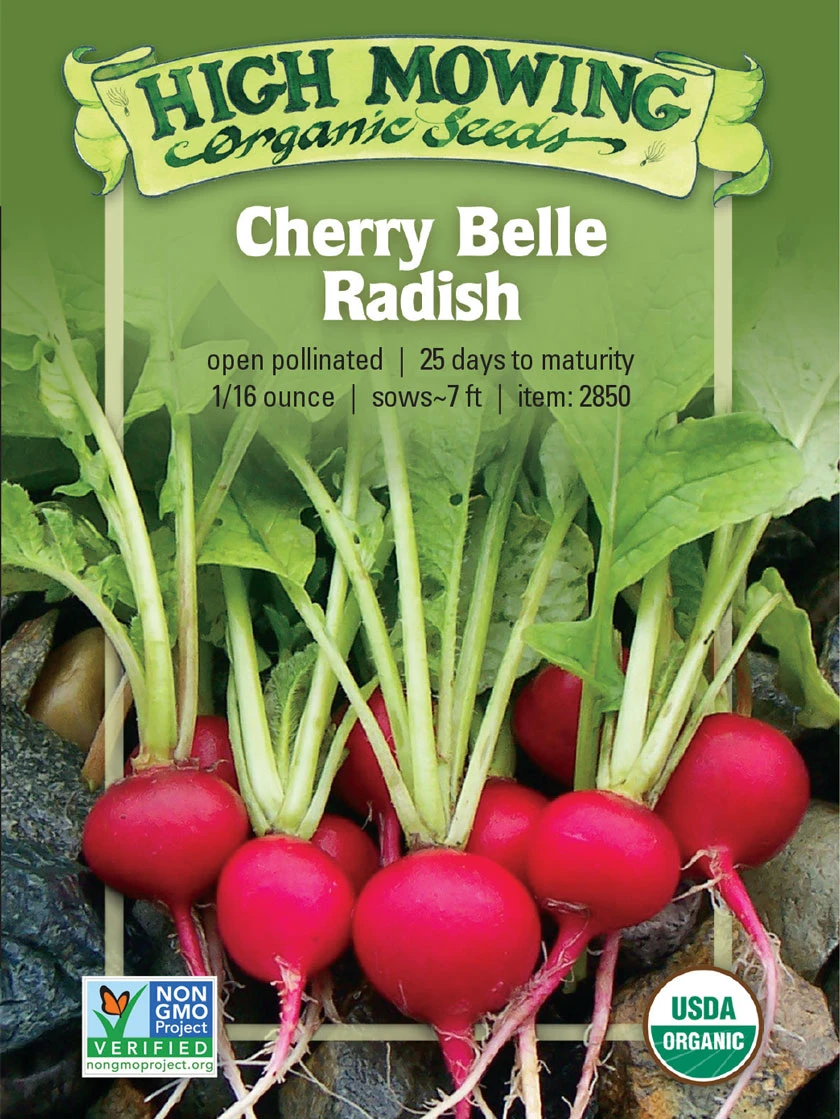 Cherry Belle Radish Organic Seeds 3 Cherry Belle Radish Organic Seeds