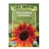 Velvet Queen Sunflower Organic Seeds 2 Velvet Queen Sunflower Organic Seeds -Garden Supplies Shop 8610362 9977 velvet queen sunflower organic seeds