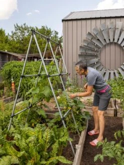 Connector Kit For DIY A Frame Plant Support -Garden Supplies Shop 8610366 7584 tif