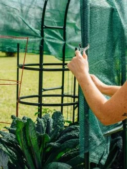 Maxi Garden Hoops With Clips 14 Maxi Garden Hoops With Clips -Garden Supplies Shop 8610372 368 tif