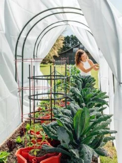 Maxi Garden Hoops With Clips 13 Maxi Garden Hoops With Clips -Garden Supplies Shop 8610373 377 tif