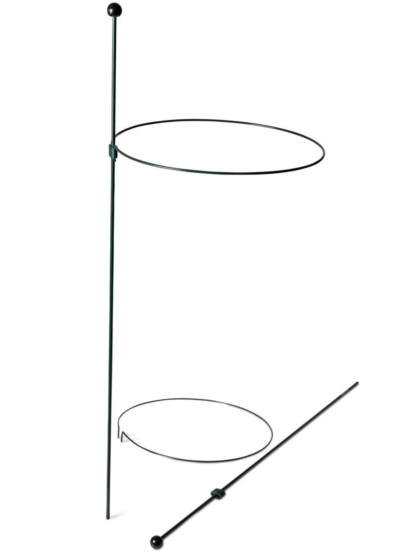 Peacock Classic Plant Support Rings 15", Set Of 2 6 Peacock Classic Plant Support Rings 15", Set Of 2 - Image 4