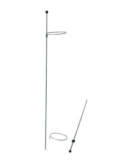 Peacock Mini Plant Support Rings 4", Set Of 2 -Garden Supplies Shop 8610386 9566