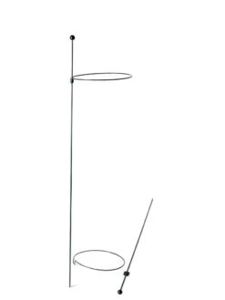 Peacock Mini Plant Support Rings 8", Set Of 2 -Garden Supplies Shop 8610388 9565 tif