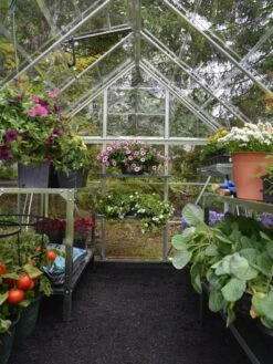 Canopia® By Palram Harmony™ Greenhouse, 6' X 14' -Garden Supplies Shop 8610563 03V jpg