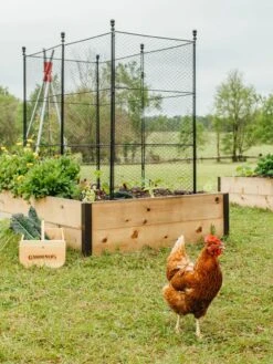 Tall Chicken Wire Critter Fence With Gate -Garden Supplies Shop 8611020 316 tif